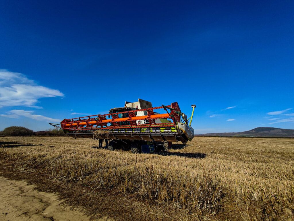 Vintage combine harvester parked in a vast rural field under a clear blue sky.